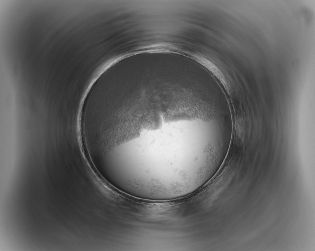 X0000096221482200801181440