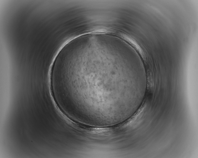 X0000096221483200801181440