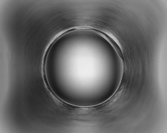 X0000096221485200801181440