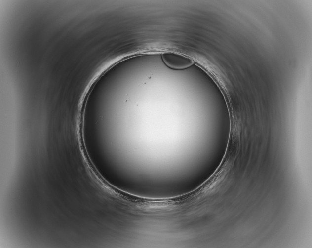 X0000096221486200801181440