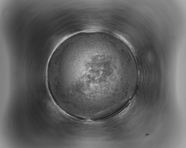 X0000096221487200801181440