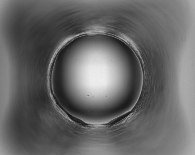 X0000096221488200801181440