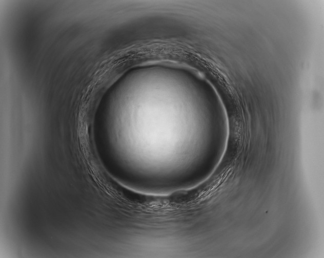 X0000096221489200801181440