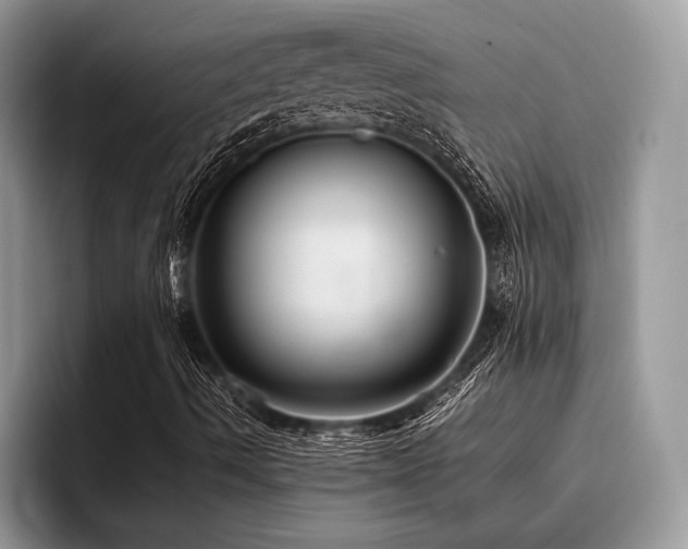 X0000096221490200801181440