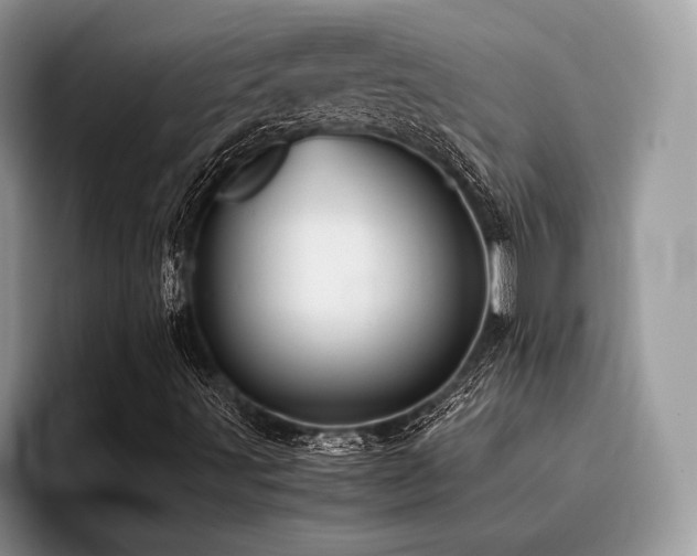 X0000096221491200801181440