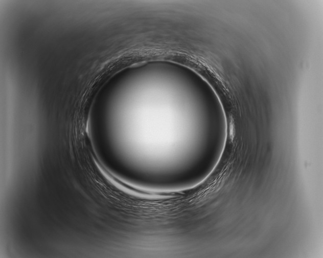 X0000096221492200801181440