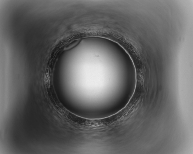 X0000096221493200801181440
