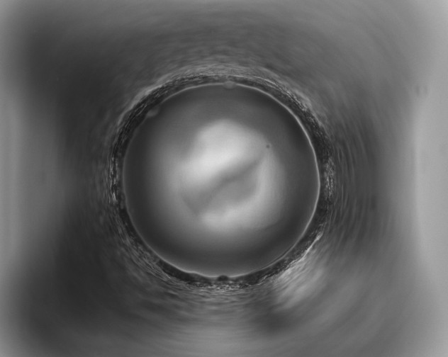 X0000096221494200801181440