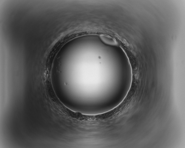 X0000096221495200801181440