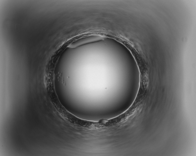 X0000096221496200801181440