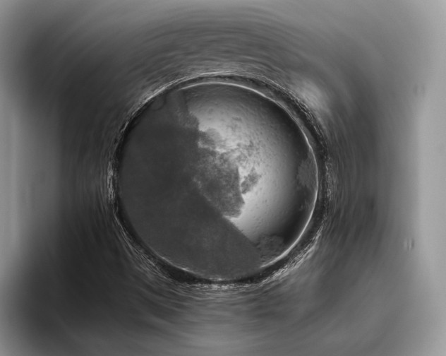 X0000096221497200801181440
