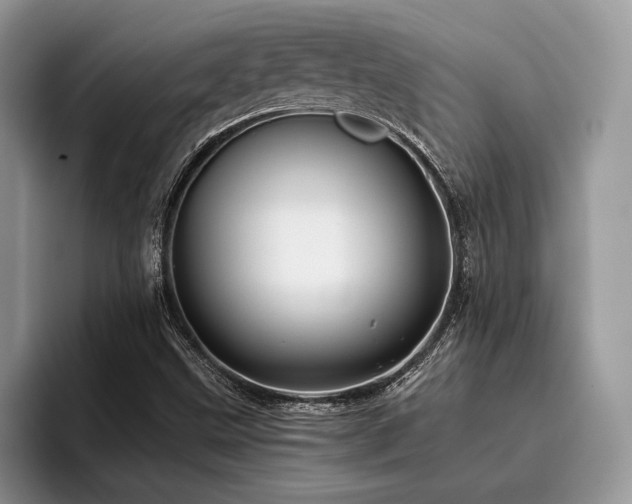 X0000096221499200801181440