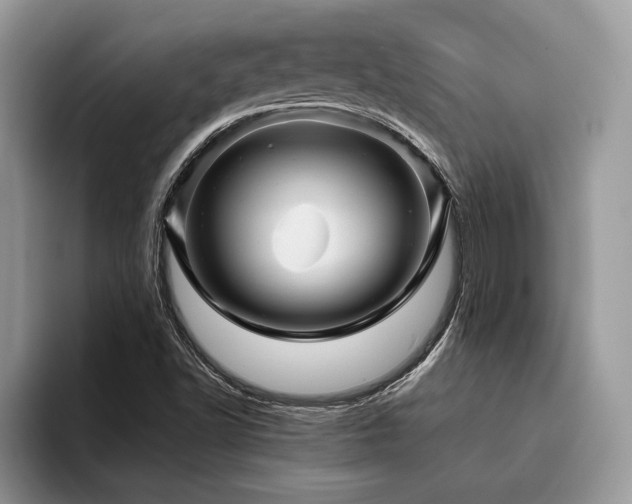 X0000096221502200801181440
