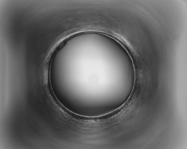 X0000096221504200801181440