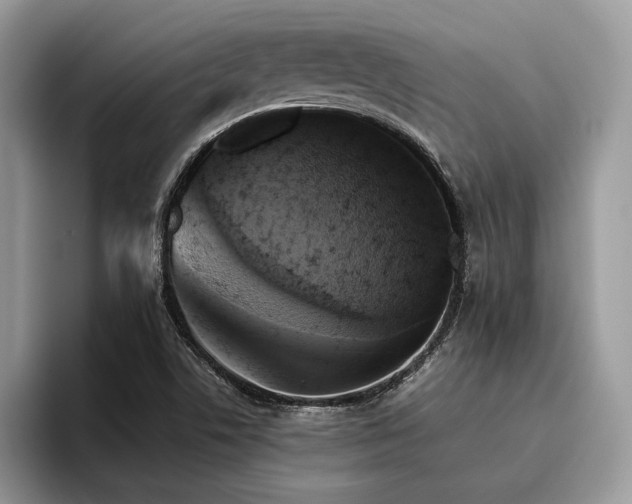 X0000096221506200801181440