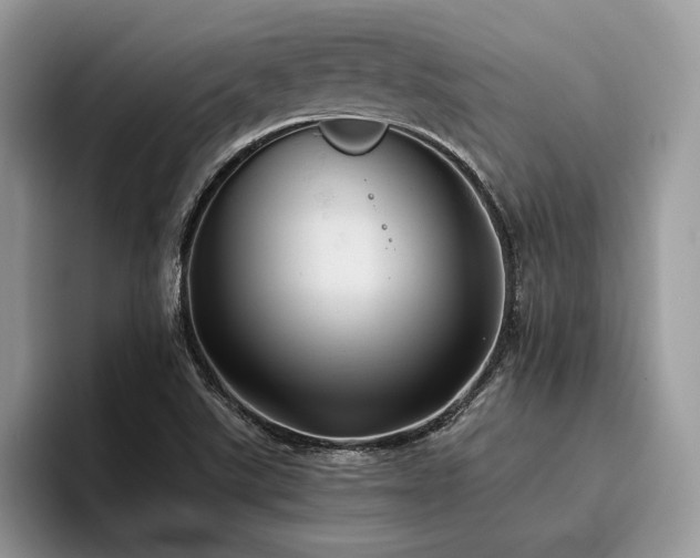 X0000096221507200801181440