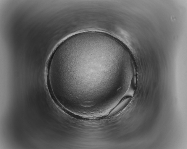 X0000096221508200801181440