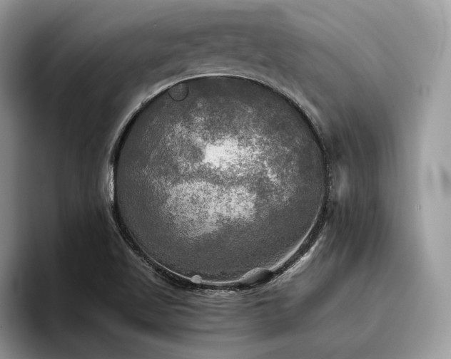 X0000096221509200801181440