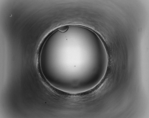 X0000096221511200801181440