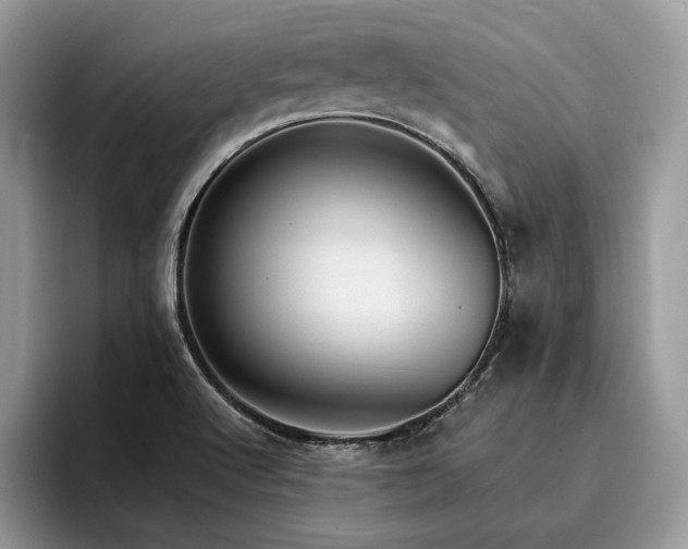 X0000096221512200801181440