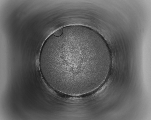 X0000096221513200801181440