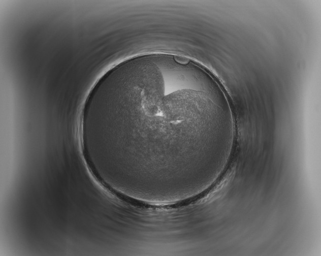 X0000096221515200801181440