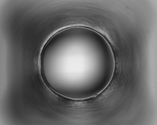 X0000096221516200801181440