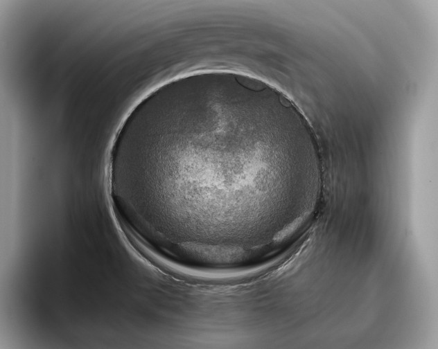 X0000096221519200801181440