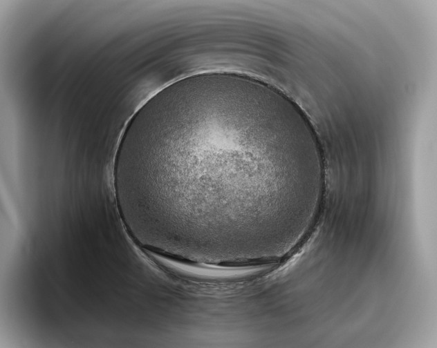 X0000096221521200801181440