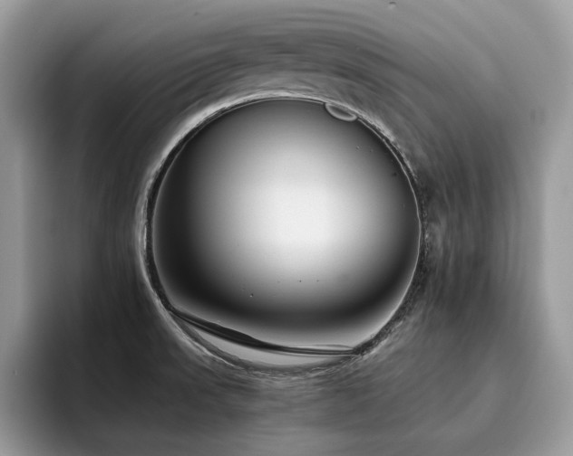 X0000096221523200801181440