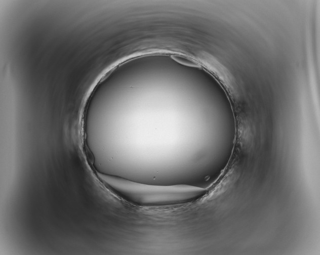 X0000096221524200801181440