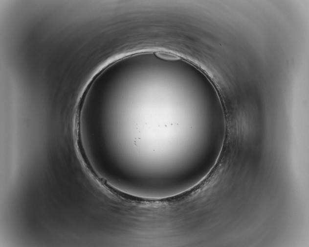X0000096221526200801181440