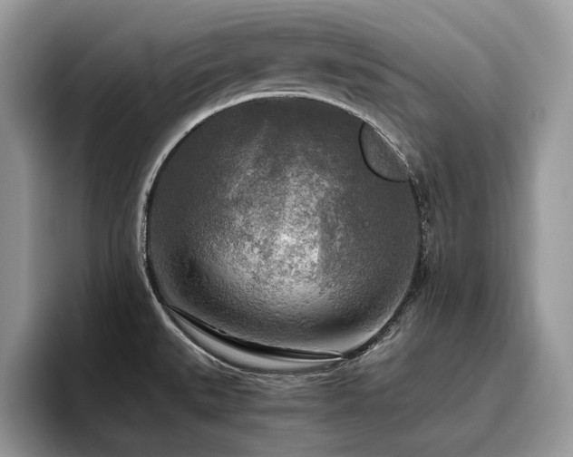 X0000096221527200801181440