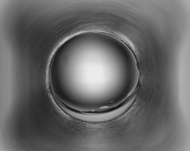 X0000096221528200801181440