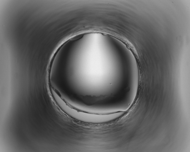 X0000096221530200801181440