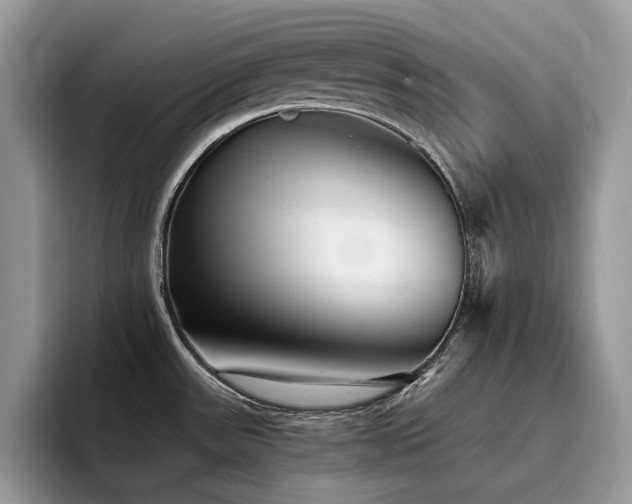 X0000096221531200801181440