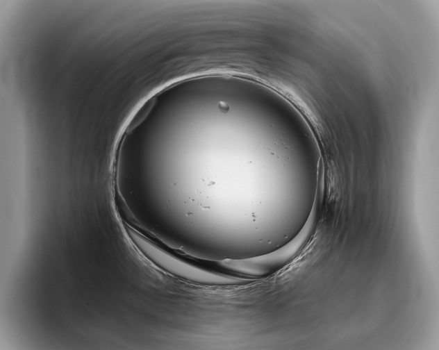 X0000096221532200801181440