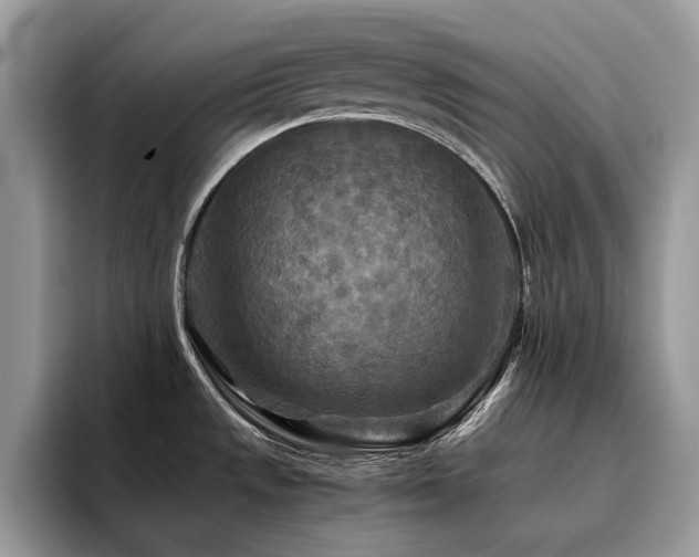 X0000096221533200801181440
