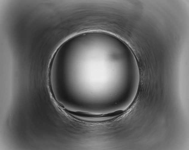 X0000096221534200801181440
