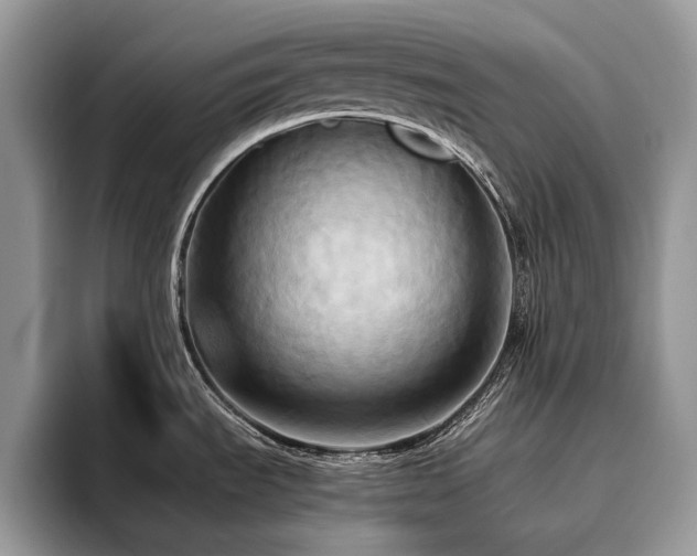 X0000096221535200801181440