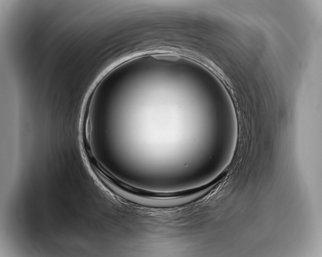 X0000096221536200801181440