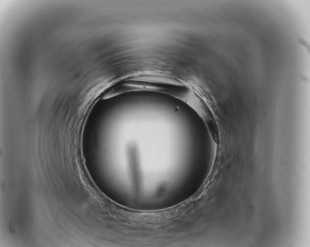 X0000096220001200801251107