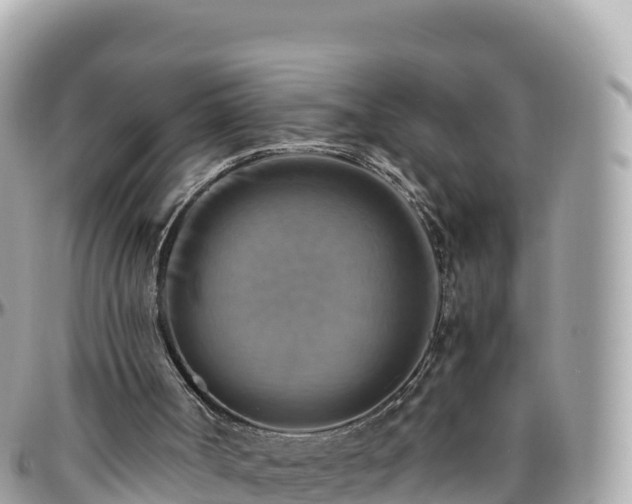 X0000096220002200801251107