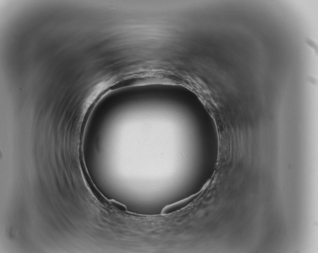 X0000096220003200801251107