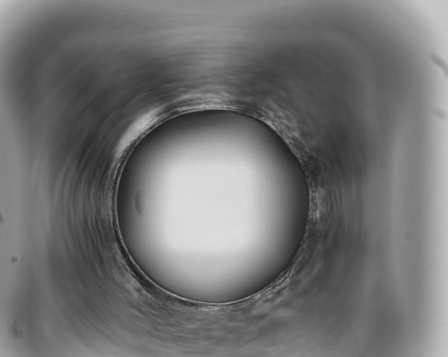 X0000096220004200801251107