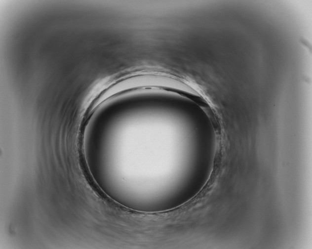 X0000096220007200801251107