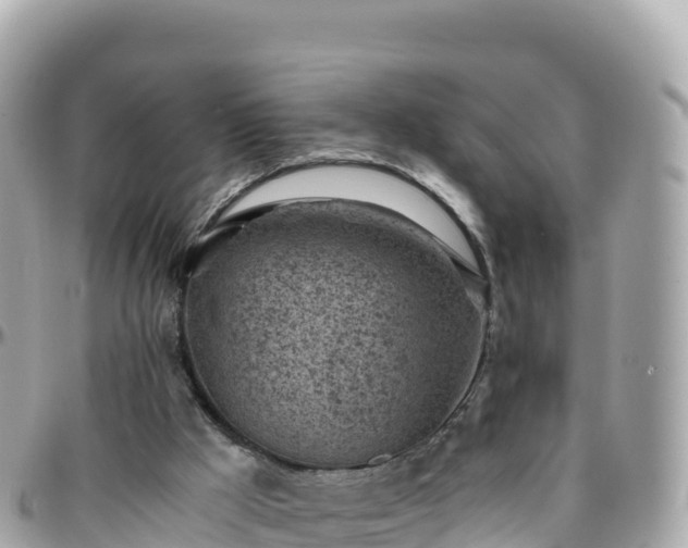 X0000096220009200801251107