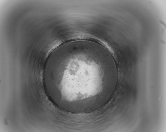 X0000096220010200801251107