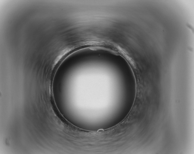 X0000096220011200801251107