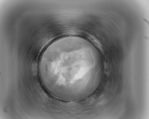 X0000096220012200801251107